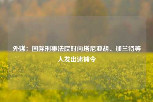 外媒：国际刑事法院对内塔尼亚胡、加兰特等人发出逮捕令-第1张图片-十倍杠杆-股票杠杆