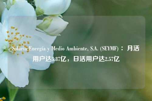 Solaria Energía y Medio Ambiente, S.A. (SEYMF) ：月活用户达5.87亿，日活用户达2.57亿-第1张图片-十倍杠杆-股票杠杆