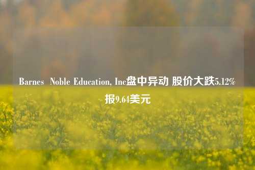 Barnes  Noble Education, Inc盘中异动 股价大跌5.12%报9.64美元-第1张图片-十倍杠杆-股票杠杆