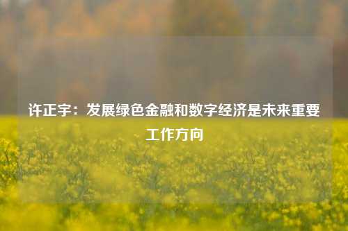 许正宇：发展绿色金融和数字经济是未来重要工作方向-第1张图片-十倍杠杆-股票杠杆