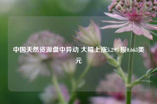 中国天然资源盘中异动 大幅上涨5.29%报0.663美元-第1张图片-十倍杠杆-股票杠杆