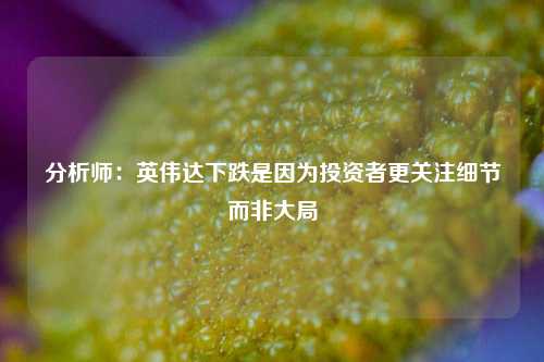 分析师：英伟达下跌是因为投资者更关注细节而非大局-第1张图片-十倍杠杆-股票杠杆