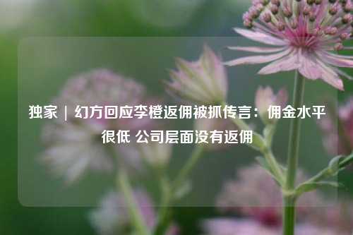 独家 | 幻方回应李橙返佣被抓传言：佣金水平很低 公司层面没有返佣-第1张图片-十倍杠杆-股票杠杆