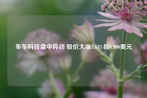 车车科技盘中异动 股价大涨5.63%报0.900美元-第1张图片-十倍杠杆-股票杠杆