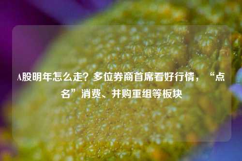 A股明年怎么走？多位券商首席看好行情，“点名”消费、并购重组等板块-第1张图片-十倍杠杆-股票杠杆