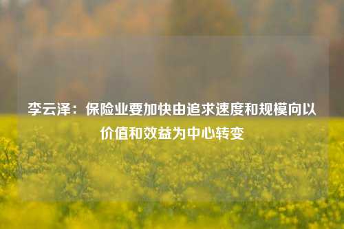 李云泽：保险业要加快由追求速度和规模向以价值和效益为中心转变-第1张图片-十倍杠杆-股票杠杆