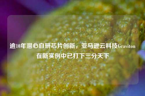 逾10年潜心自研芯片创新，亚马逊云科技Graviton在新实例中已打下三分天下-第1张图片-十倍杠杆-股票杠杆