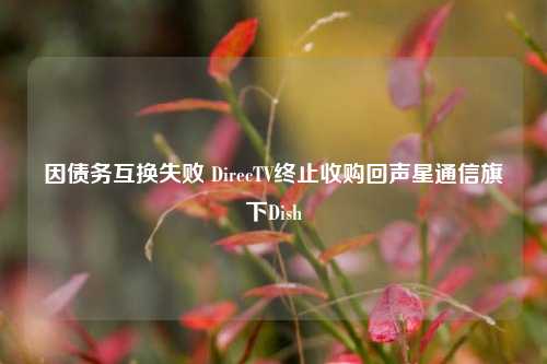 因债务互换失败 DirecTV终止收购回声星通信旗下Dish-第1张图片-十倍杠杆-股票杠杆