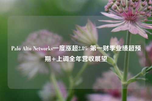 Palo Alto Networks一度涨超2.8% 第一财季业绩超预期+上调全年营收展望-第1张图片-十倍杠杆-股票杠杆