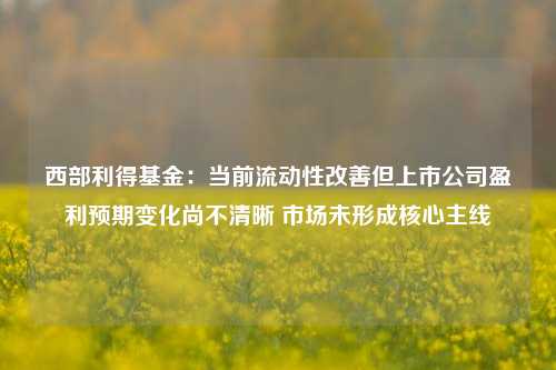 西部利得基金：当前流动性改善但上市公司盈利预期变化尚不清晰 市场未形成核心主线-第1张图片-十倍杠杆-股票杠杆