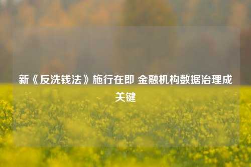 新《反洗钱法》施行在即 金融机构数据治理成关键-第1张图片-十倍杠杆-股票杠杆