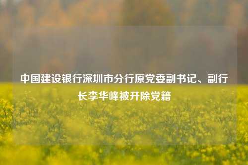 中国建设银行深圳市分行原党委副书记、副行长李华峰被开除党籍-第1张图片-十倍杠杆-股票杠杆