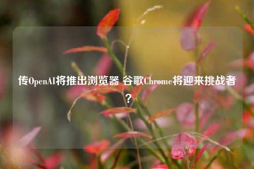 传OpenAI将推出浏览器 谷歌Chrome将迎来挑战者 ？-第1张图片-十倍杠杆-股票杠杆