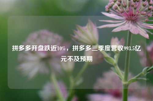 拼多多开盘跌近10%，拼多多三季度营收993.5亿元不及预期-第1张图片-十倍杠杆-股票杠杆