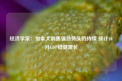 经济学家：加拿大销售强劲势头仍持续 预计10月GDP稳健增长-第1张图片-十倍杠杆-股票杠杆