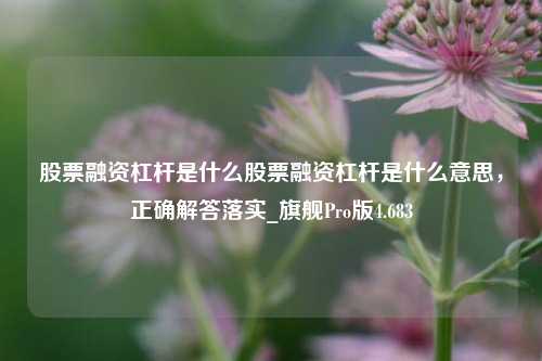 股票融资杠杆是什么股票融资杠杆是什么意思，正确解答落实_旗舰Pro版4.683-第1张图片-十倍杠杆-股票杠杆