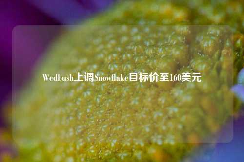 Wedbush上调Snowflake目标价至160美元-第1张图片-十倍杠杆-股票杠杆