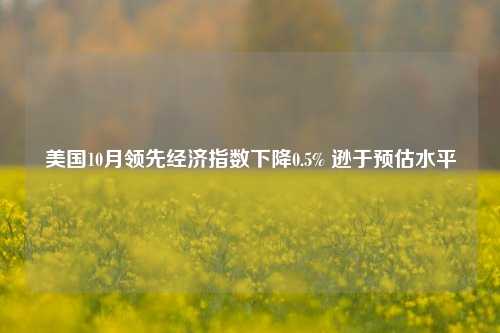 美国10月领先经济指数下降0.5% 逊于预估水平-第1张图片-十倍杠杆-股票杠杆