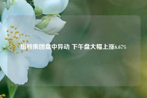 纽顿集团盘中异动 下午盘大幅上涨6.67%-第1张图片-十倍杠杆-股票杠杆