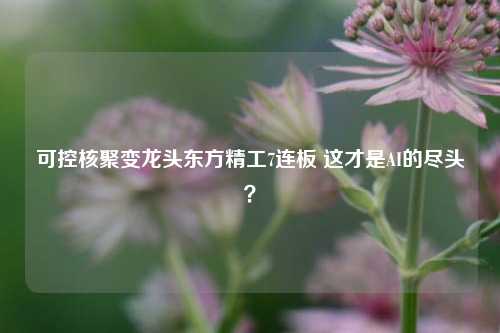 可控核聚变龙头东方精工7连板 这才是AI的尽头？-第1张图片-十倍杠杆-股票杠杆