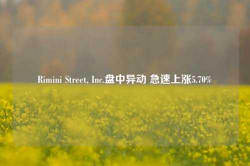 Rimini Street, Inc.盘中异动 急速上涨5.70%-第1张图片-十倍杠杆-股票杠杆