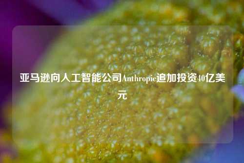 亚马逊向人工智能公司Anthropic追加投资40亿美元-第1张图片-十倍杠杆-股票杠杆