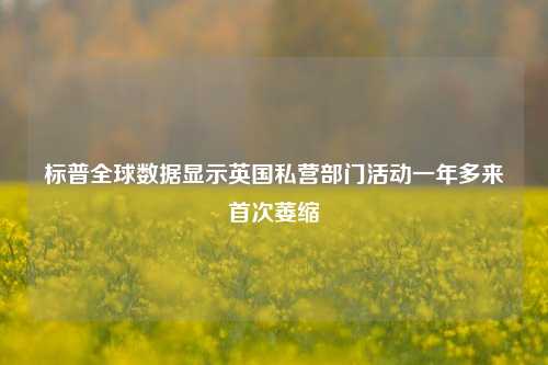 标普全球数据显示英国私营部门活动一年多来首次萎缩-第1张图片-十倍杠杆-股票杠杆