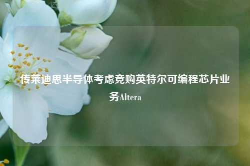 传莱迪思半导体考虑竞购英特尔可编程芯片业务Altera-第1张图片-十倍杠杆-股票杠杆