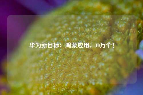 华为新目标：鸿蒙应用，10万个！-第1张图片-十倍杠杆-股票杠杆