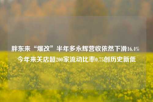 胖东来“爆改”半年多永辉营收依然下滑16.4% 今年来关店超200家流动比率0.75创历史新低-第1张图片-十倍杠杆-股票杠杆