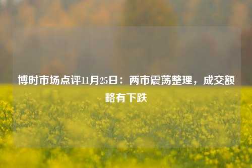 博时市场点评11月25日：两市震荡整理，成交额略有下跌-第1张图片-十倍杠杆-股票杠杆