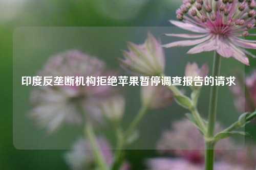 印度反垄断机构拒绝苹果暂停调查报告的请求-第1张图片-十倍杠杆-股票杠杆