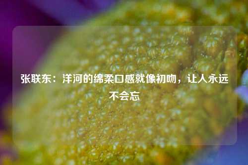 张联东：洋河的绵柔口感就像初吻，让人永远不会忘-第1张图片-十倍杠杆-股票杠杆