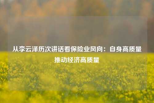 从李云泽历次讲话看保险业风向：自身高质量　推动经济高质量-第1张图片-十倍杠杆-股票杠杆