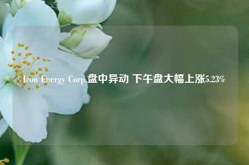 Icon Energy Corp.盘中异动 下午盘大幅上涨5.23%-第1张图片-十倍杠杆-股票杠杆