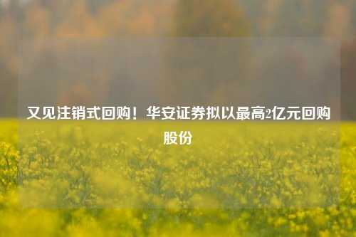 又见注销式回购！华安证券拟以最高2亿元回购股份-第1张图片-十倍杠杆-股票杠杆