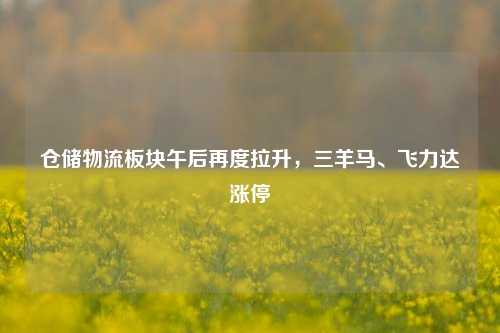 仓储物流板块午后再度拉升，三羊马、飞力达涨停-第1张图片-十倍杠杆-股票杠杆