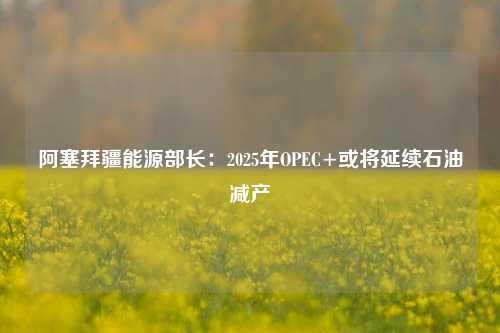 阿塞拜疆能源部长：2025年OPEC+或将延续石油减产-第1张图片-十倍杠杆-股票杠杆