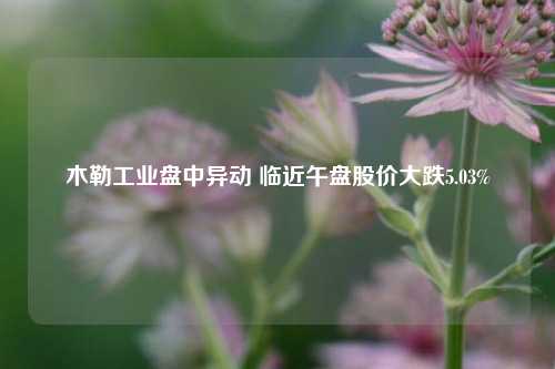 木勒工业盘中异动 临近午盘股价大跌5.03%-第1张图片-十倍杠杆-股票杠杆