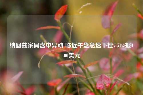 纳图兹家具盘中异动 临近午盘急速下挫7.51%报4.00美元-第1张图片-十倍杠杆-股票杠杆