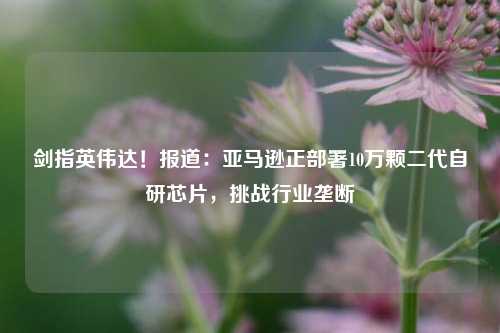 剑指英伟达！报道：亚马逊正部署10万颗二代自研芯片，挑战行业垄断-第1张图片-十倍杠杆-股票杠杆