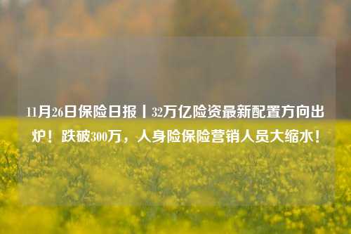 11月26日保险日报丨32万亿险资最新配置方向出炉！跌破300万，人身险保险营销人员大缩水！-第1张图片-十倍杠杆-股票杠杆