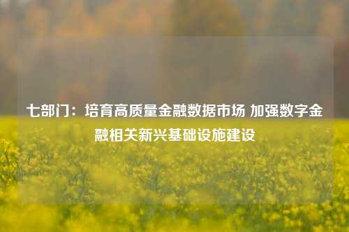 七部门：培育高质量金融数据市场 加强数字金融相关新兴基础设施建设-第1张图片-十倍杠杆-股票杠杆