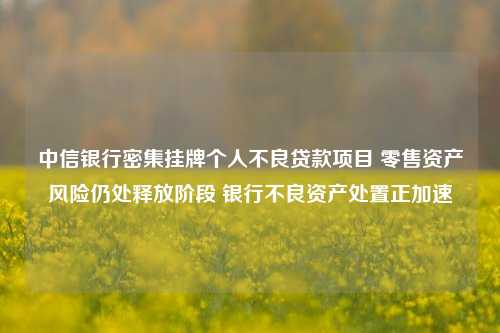 中信银行密集挂牌个人不良贷款项目 零售资产风险仍处释放阶段 银行不良资产处置正加速-第1张图片-十倍杠杆-股票杠杆