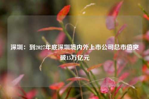 深圳：到2027年底深圳境内外上市公司总市值突破15万亿元-第1张图片-十倍杠杆-股票杠杆