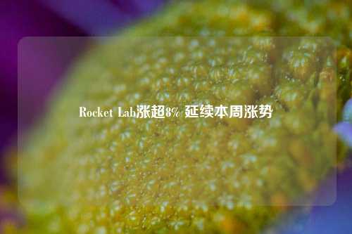 Rocket Lab涨超8% 延续本周涨势-第1张图片-十倍杠杆-股票杠杆