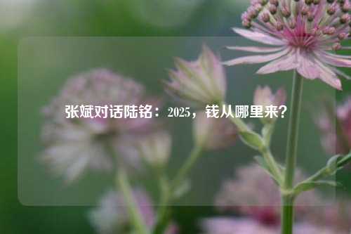 张斌对话陆铭：2025，钱从哪里来？-第1张图片-十倍杠杆-股票杠杆