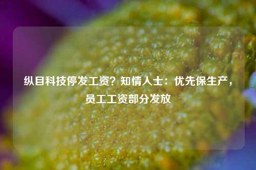 纵目科技停发工资？知情人士：优先保生产，员工工资部分发放-第1张图片-十倍杠杆-股票杠杆