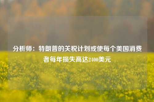 分析师：特朗普的关税计划或使每个美国消费者每年损失高达2400美元-第1张图片-十倍杠杆-股票杠杆