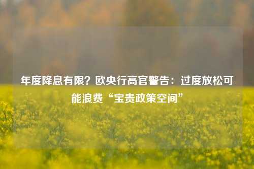 年度降息有限？欧央行高官警告：过度放松可能浪费“宝贵政策空间”-第1张图片-十倍杠杆-股票杠杆